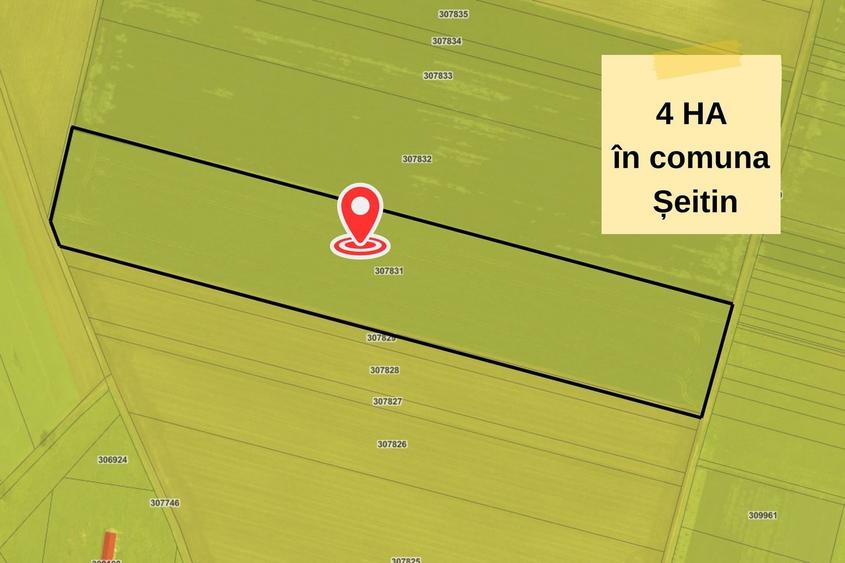 Teren extravilan in Seitin,  4 hectare de vanzare,  ZERO COMISION - 2