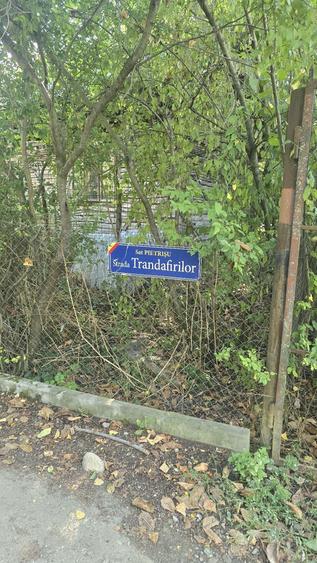 Loturi teren Poiana Campina, 30eur/mp,apa,curent,gata pentru construir - 1