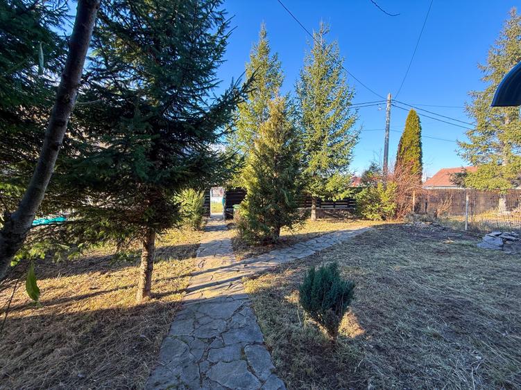 Casa Vacanta Bran 25 Km Brasov 5 Min Castelul Bran - 14