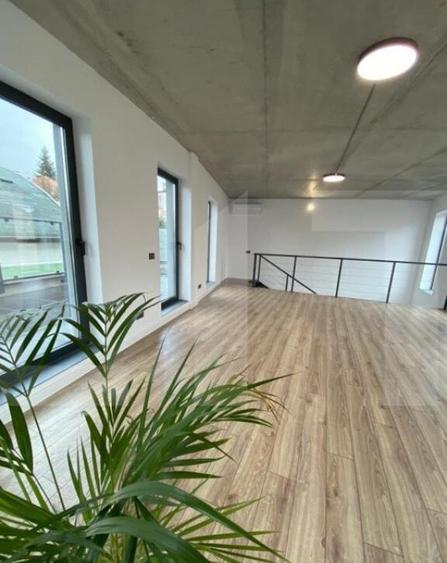 Cladire de sticla, 230 mp, zona Cipariu, ideal sediu firma/c - 24