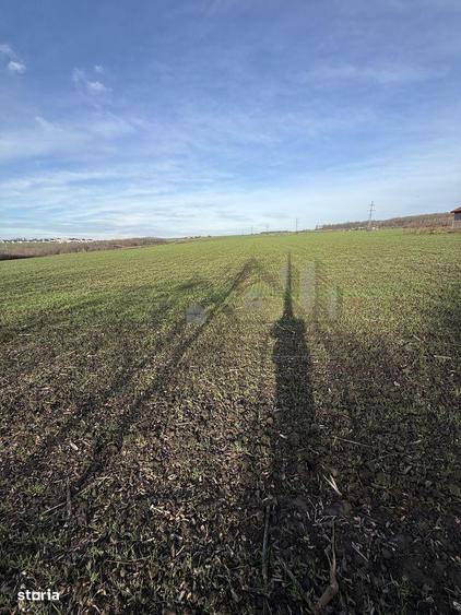 Aroneanu TEREN 14400mp intravilan cu utilitati zona construibila - 5