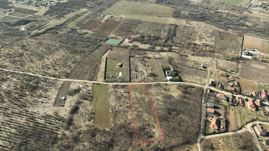 RECO Teren intravilan Paleu - 2