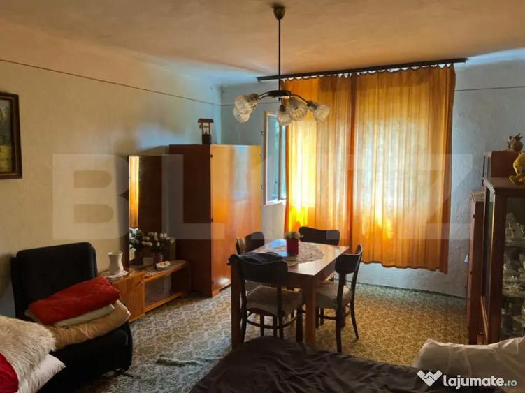 Casa Str. Negoiului, 2.249 mp teren, zona lini?tita, ved - 1