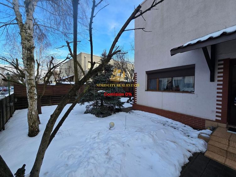 Green City - 1 Decembrie - Vila - 2