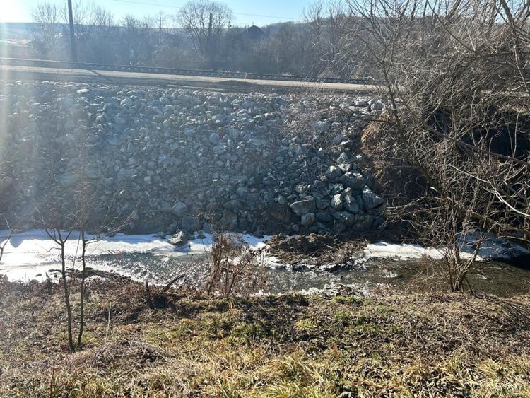 Teren intravilan pentru casa 2400 mp front 16ml Radaia sub pretul pietei - 4