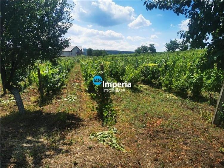 Teren intravilan de vanzare in Iasi, zona Tomesti Chicerea! - 1