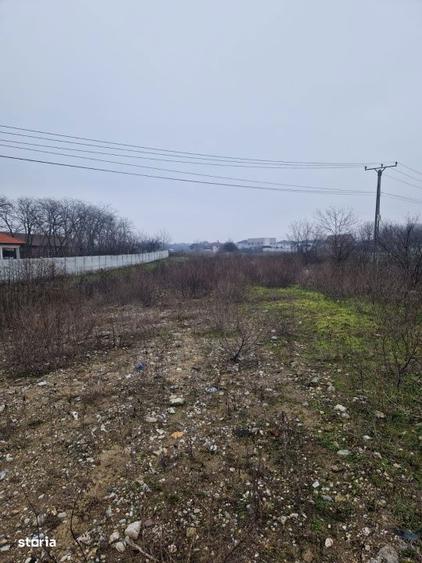 Teren de vanzare Malu Mare 1.250 mp intravilan - 1