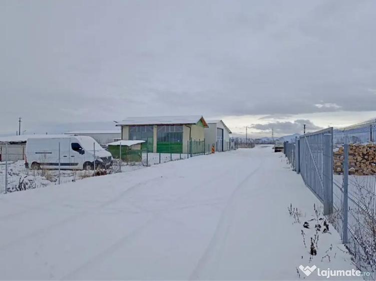VANZARE Teren Industrial Codlea - PUZ Hale/Service 1850mp - 8