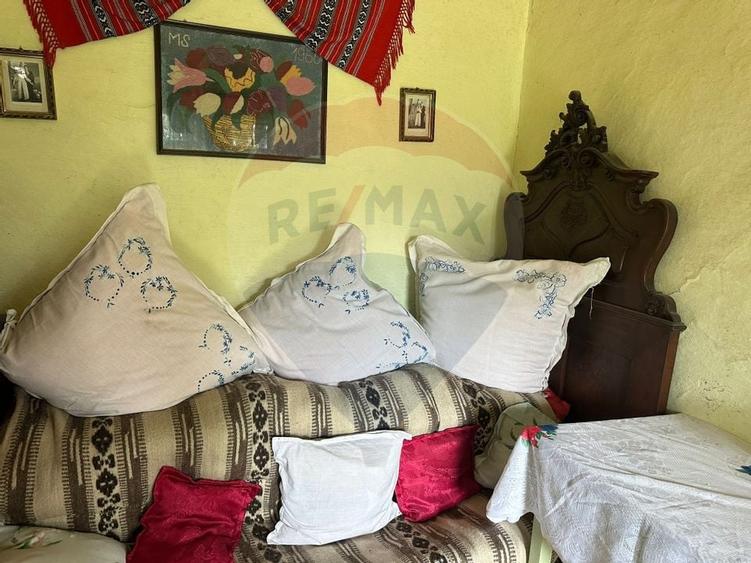 Casa si teren intravilan 4.779 mp Girov, Neamț - 6