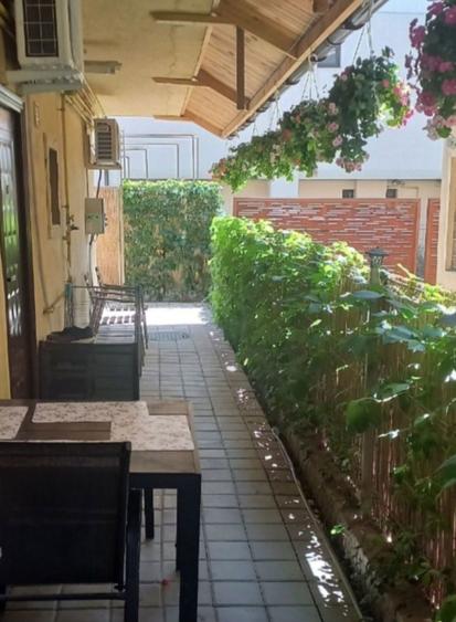 Garsoniera in vila, cu curte proprie, in Mamaia Nord - 5