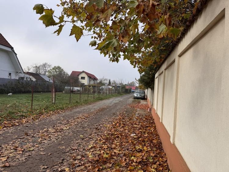 Teren deosebit in Branesti sat Pasarea ! - 11