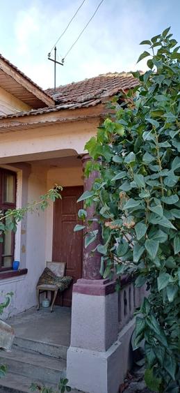 Vand casa la Terpezita - 6