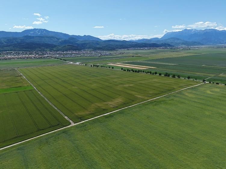 Teren de vânzare într-un ansamblu rezidențial nou! - 5