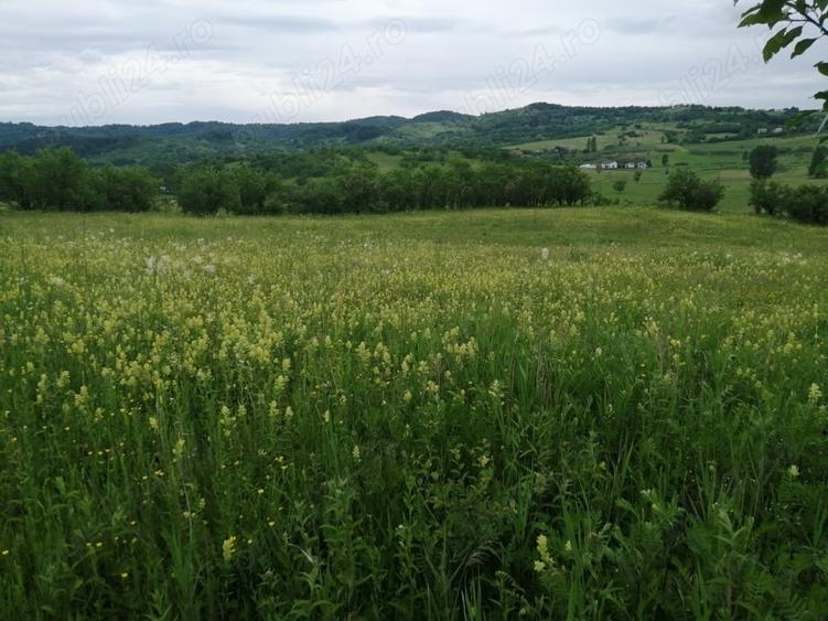 Teren de 4777 mp, în Posești