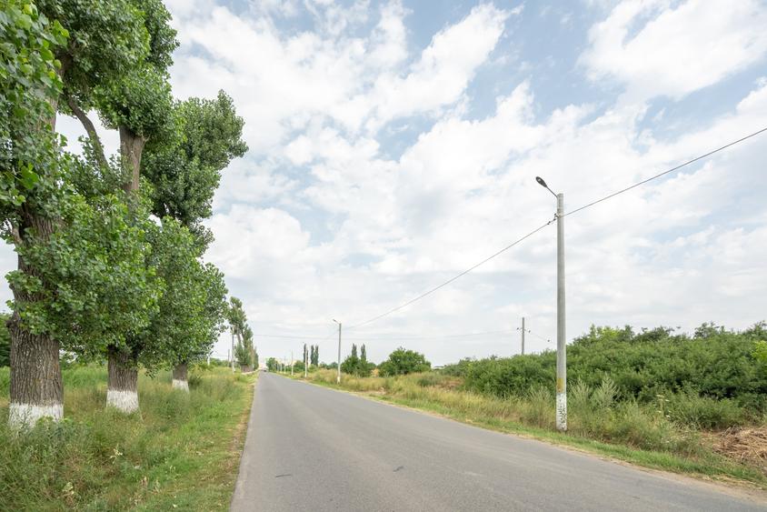 Teren Construcții intravilan de 30000 mp, în Cernica