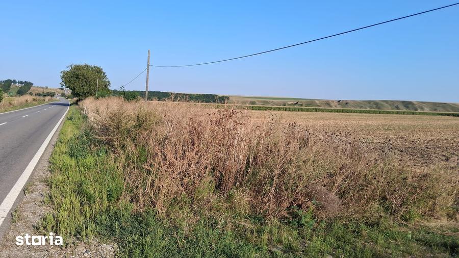 Teren de 28500 mp, în Dumbrava