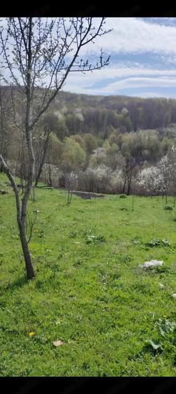 Teren de 1602 mp, în Lapoș