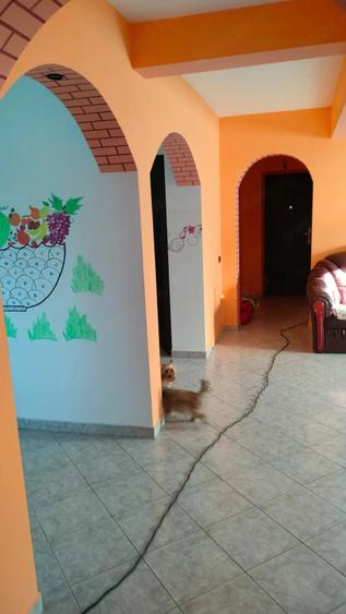 Casă cu Teren 1150 Mp în Viișoara (Păunești)
