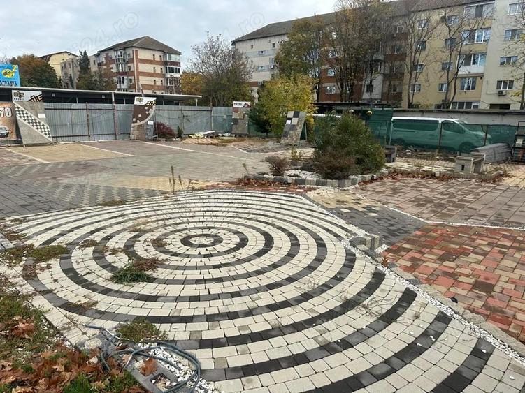 Inchiriez 600mp teren Lipovei cu Borzesti pentru consignatie auto, parcare sau altele - 3