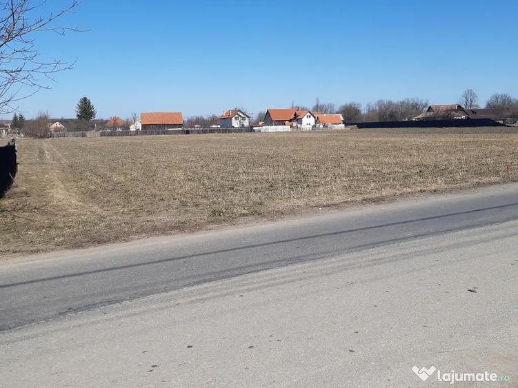 Teren intravilan construibil utilitati asfalt Lunca Calnicului 2325mp - 10