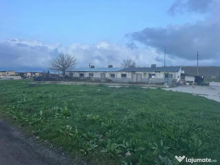 Teren intravilan industrial - 13