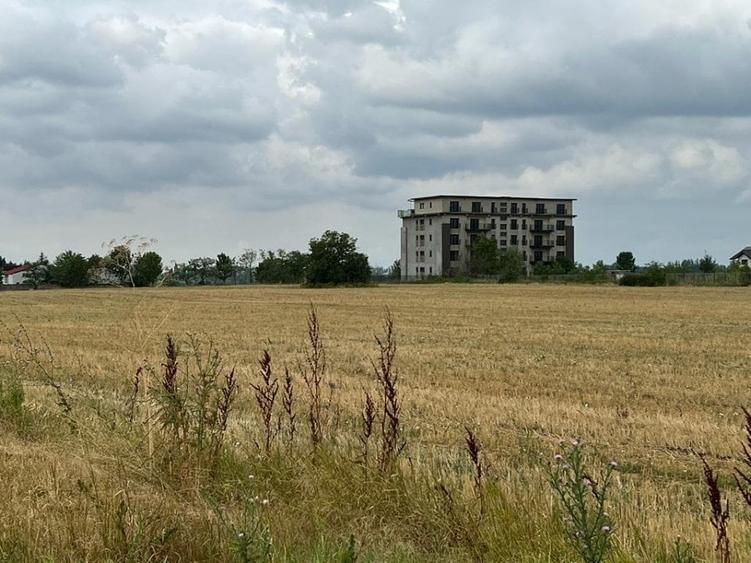 Pantelimon -Lebada- str.Olanesti(spre fabrica de Paine), 5000 mp. - 2
