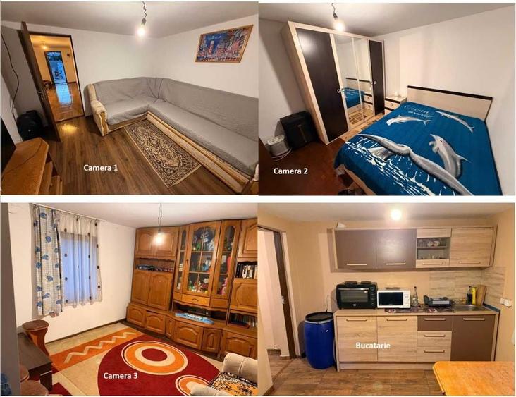 Casa + Teren Brebeni - 8000 metri patrati - 10 minute de Slatina - 2