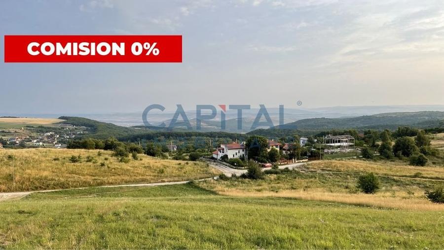 Teren intravilan 1500 mp, Salicea - 1