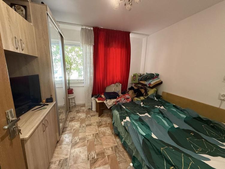 Camera de camin Lapus Arges parter - 4