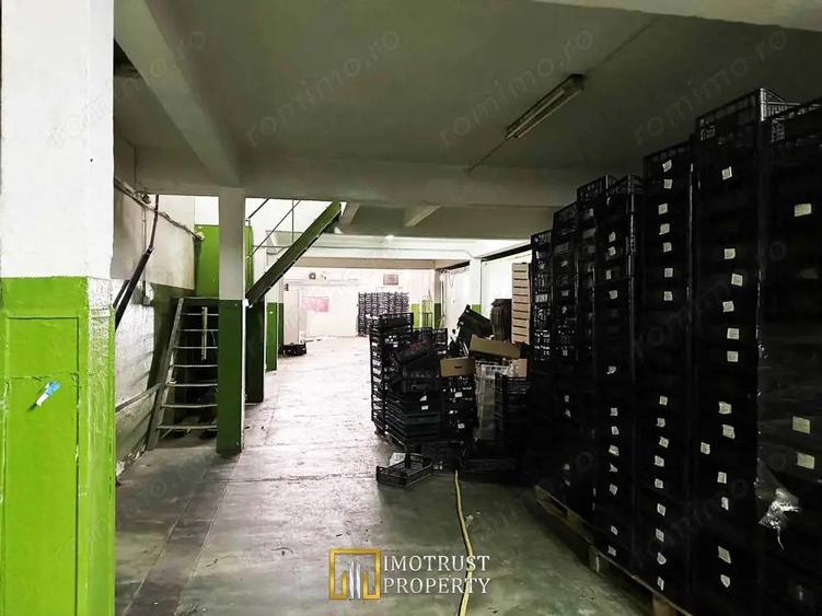 Hala industriala de inchiriat 760 mp, Arad (Gradiste/Sere) - 3