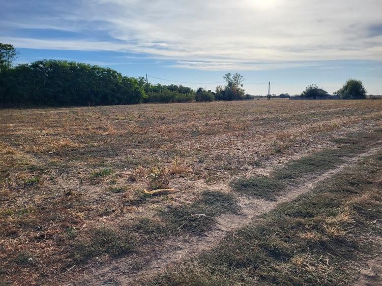 Teren agricol intravilan de 2000 mp, în Vârtopu
