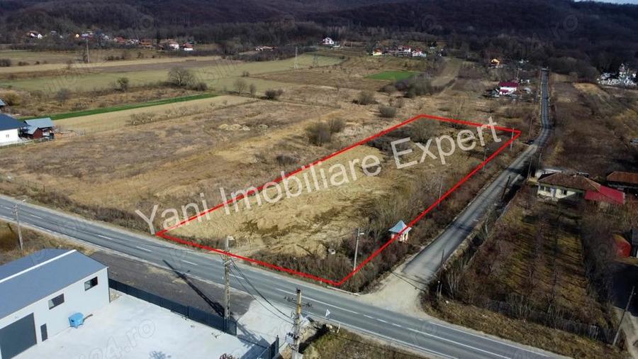 Teren de vanzare in comuna Baicule?ti, jude? Arge?. - 5