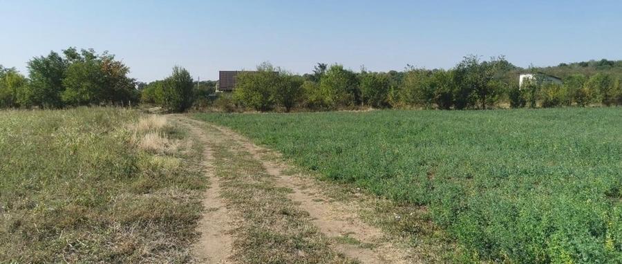 4 Loturi  de Teren  la intrare in Teghes    440 m  Lun 22  / Lat 20 - 11