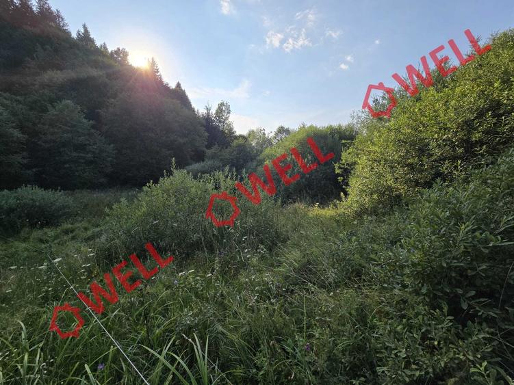 De vânzare teren extravilan în Întorsura Buzăului, pe punctul numit „Tomoja” - 7