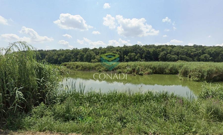 Teren 800mp Vadu Anei | Branesti | Langa Lac si Padure | Rezidential - 7