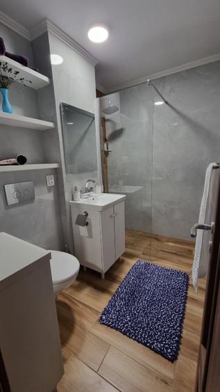 Prima inchiriere - 2