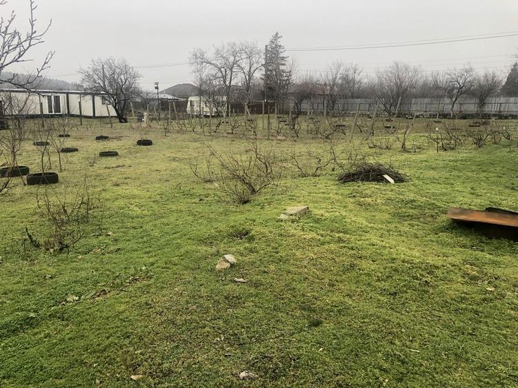 Casa cu teren Greci jud Tulcea - 5