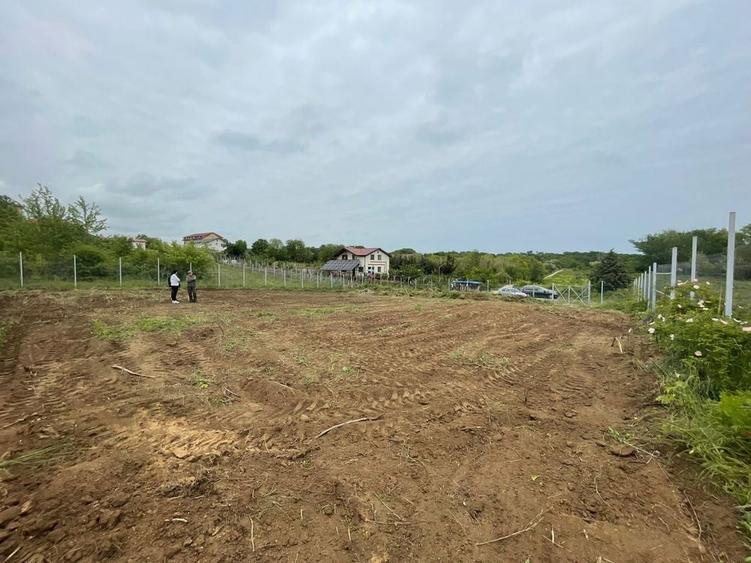 Teren intravilan 1500 mp Cap Aurora, Mangalia - 7