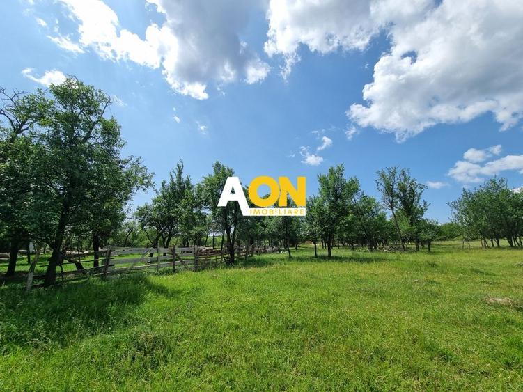 De vanzare 5898mp teren intravilan, zona Paclisa - 1