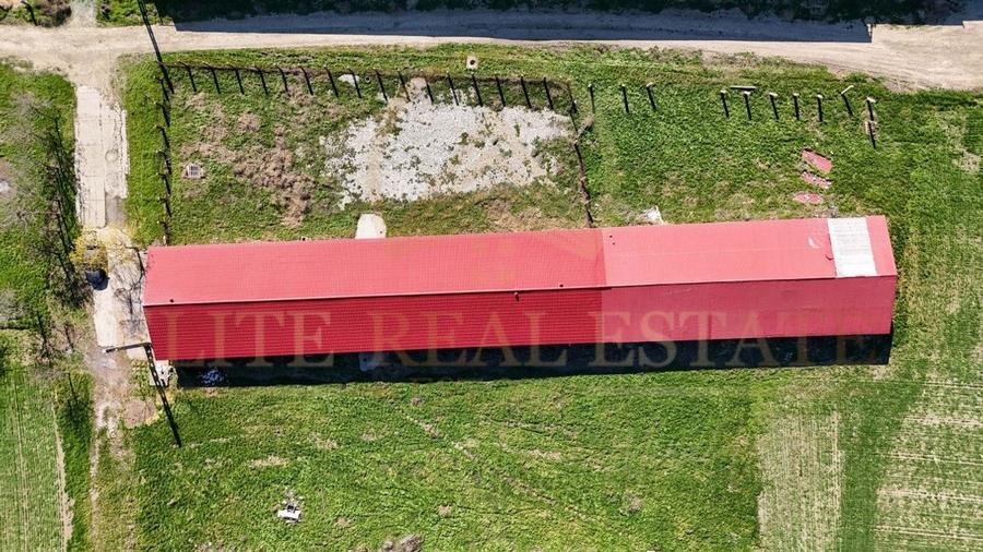 Tariverde - Ferma zootehnica functionala, 3 hectare teren intravilan! - 10