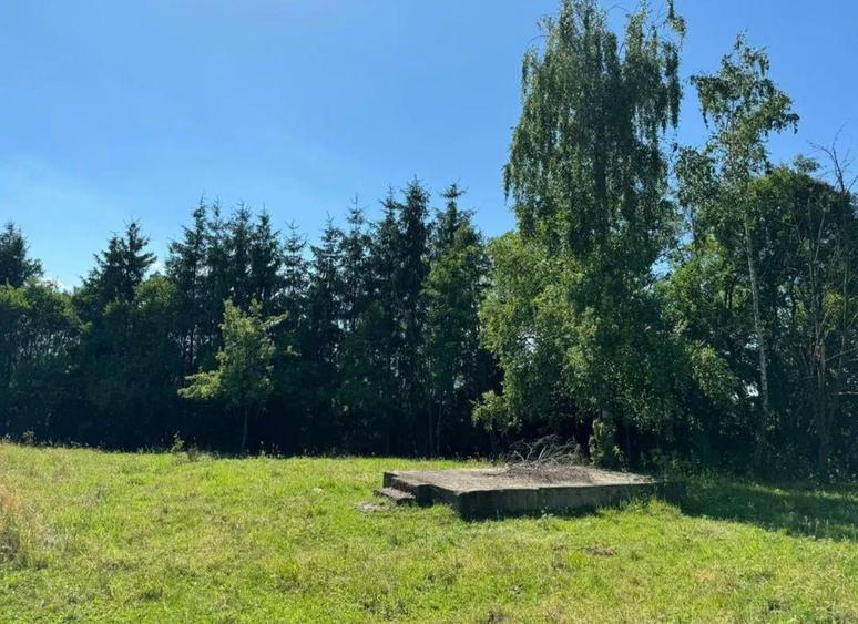 Teren intravilan de 5.755 mp în Doboeș, Sighetu Marmației - 4