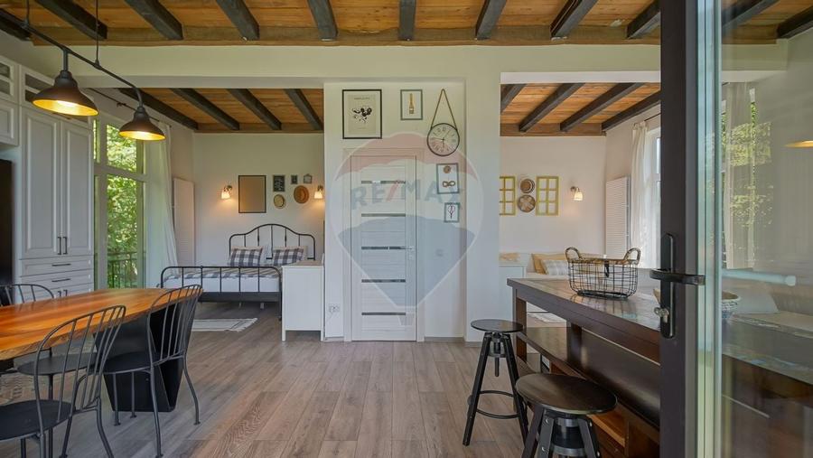 Casa de vacanta superba -Cheile Rasnoavei- liniste, natura si confort! - 9