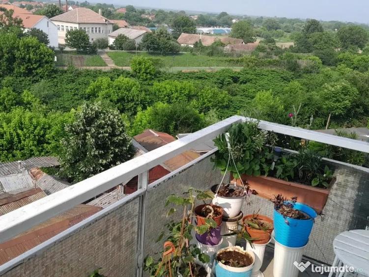 Apartament 2 camere etaj 4 Ineu,Arad,central - 2