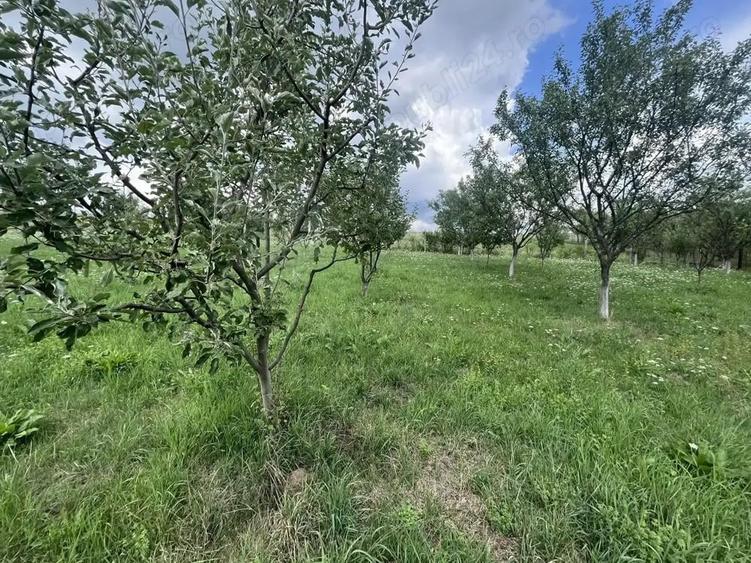 Vand casa construc?ie noua - 3