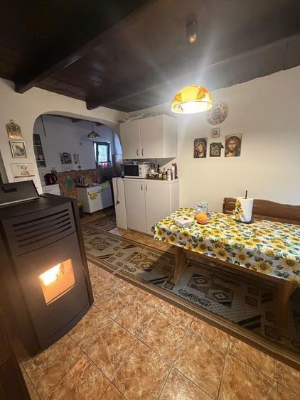 Vand casa de vacanta 27km de Buzau, Valea Parului Beceni - 3