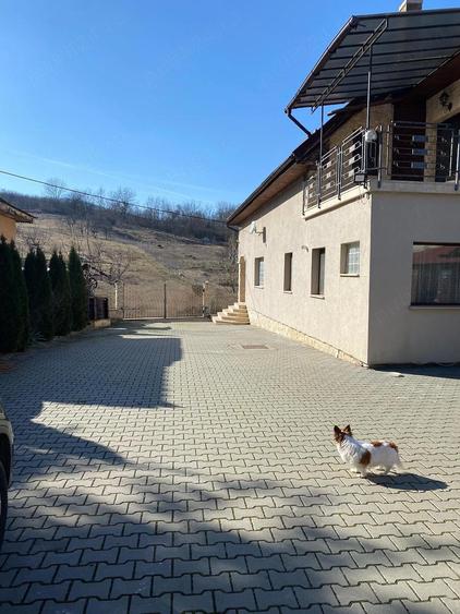 Refugiu in natura CASA SUPERBA, cu priveliste, foisor, livada la 40 km de Cluj, 15 km de Turda - 7