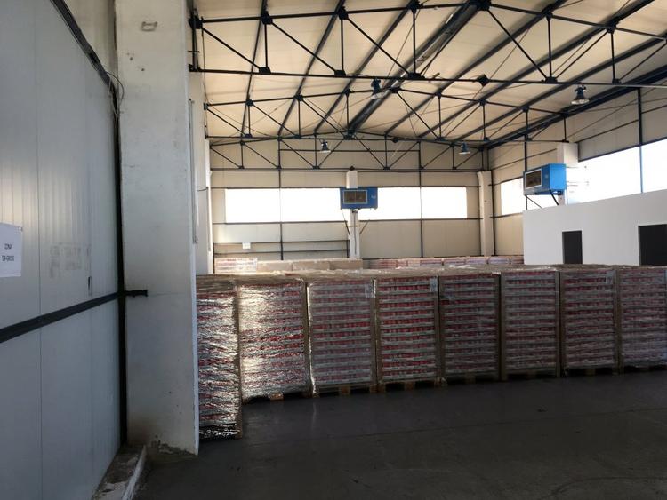 Hala microproductie sau eepozitare - 9