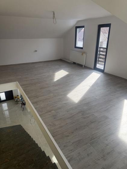 Casa la intrare in Sat Costi - 8