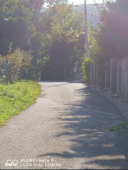 Teren de vanzare Poiana Campina - 5