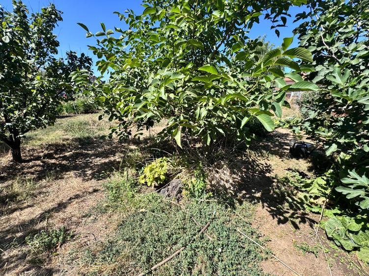 Casa individuala P+1+M amplasata pe un teren de 1612 mp. - 56